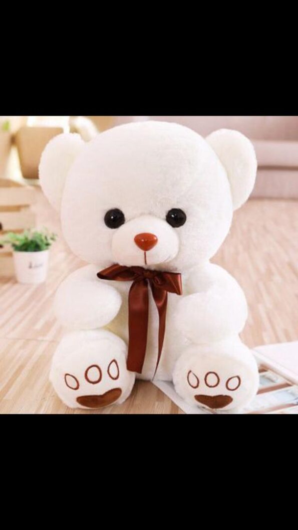 Super Cute Plush Teddy Bear